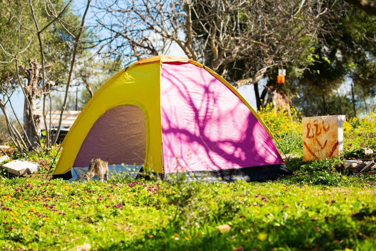 Hotel Camping Panorama Ouazzane Exterior foto